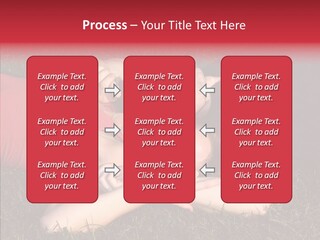Man And Woman On The Grass PowerPoint Template