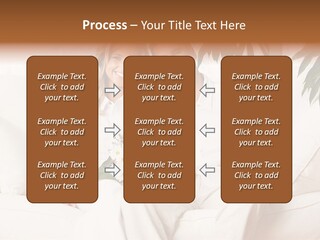 Board Group Writing PowerPoint Template