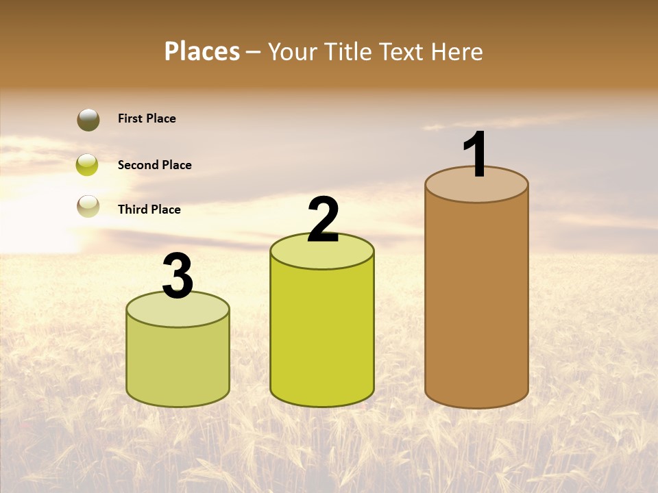 Barley Grain Grass PowerPoint Template