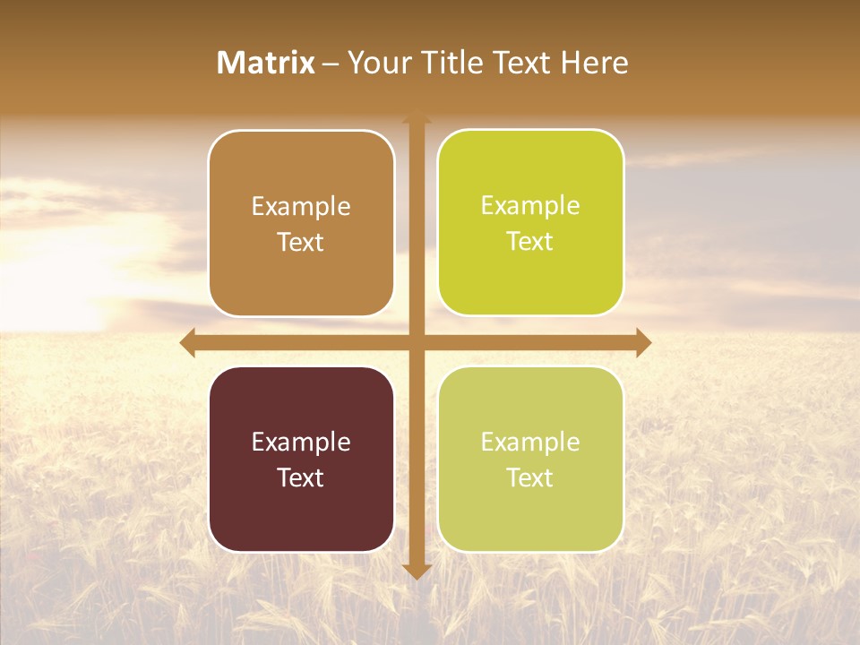 Barley Grain Grass PowerPoint Template