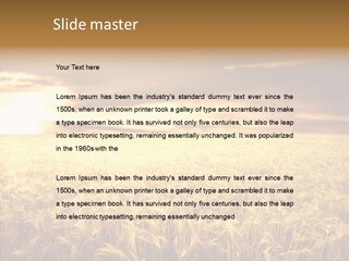Barley Grain Grass PowerPoint Template