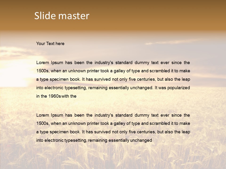 Barley Grain Grass PowerPoint Template