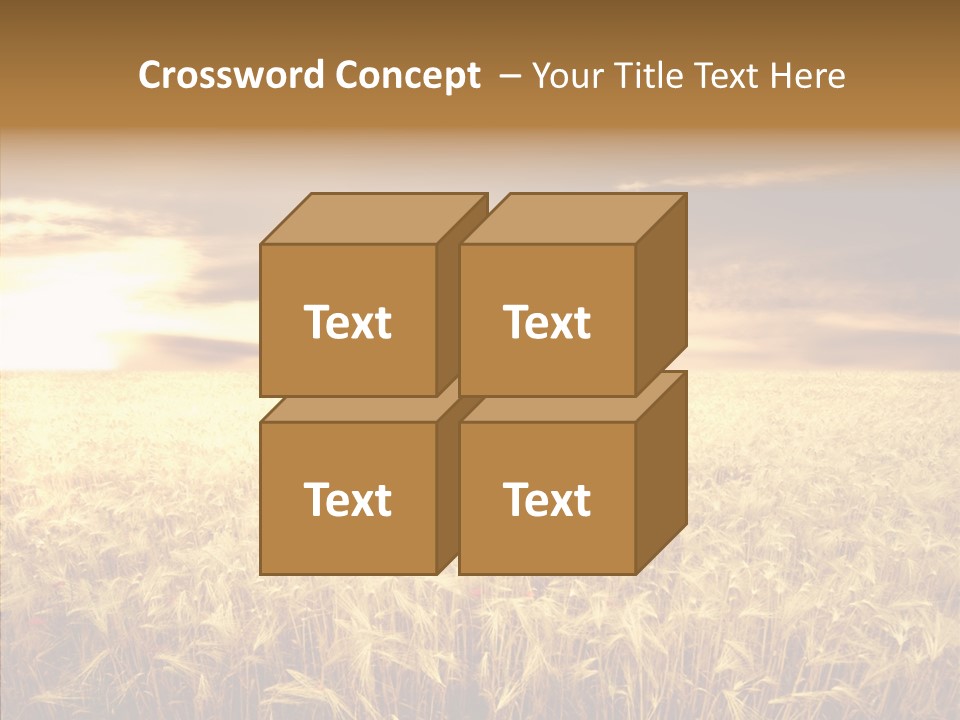 Barley Grain Grass PowerPoint Template