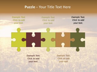 Barley Grain Grass PowerPoint Template