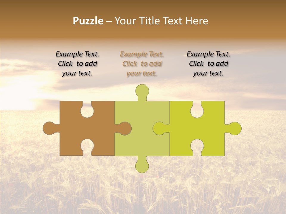 Barley Grain Grass PowerPoint Template