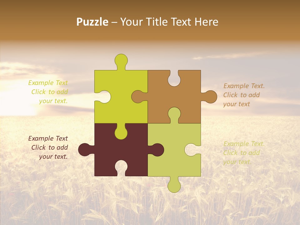 Barley Grain Grass PowerPoint Template