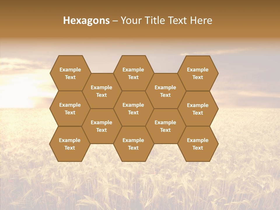 Barley Grain Grass PowerPoint Template