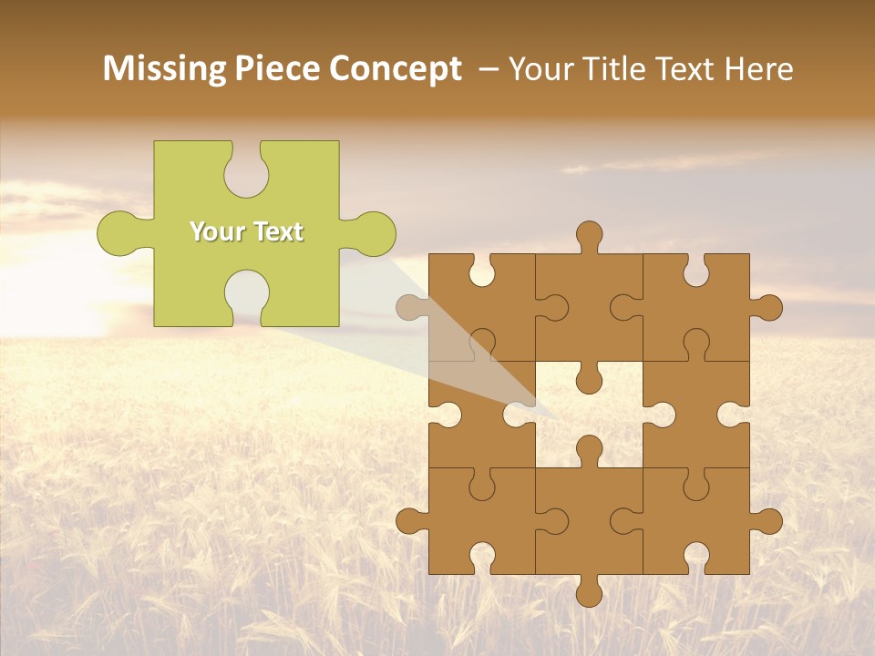 Barley Grain Grass PowerPoint Template