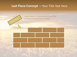 Barley Grain Grass PowerPoint Template