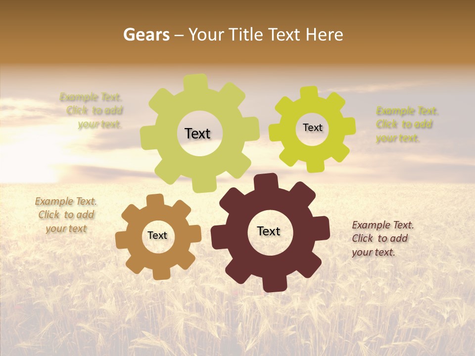 Barley Grain Grass PowerPoint Template