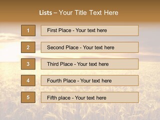 Barley Grain Grass PowerPoint Template