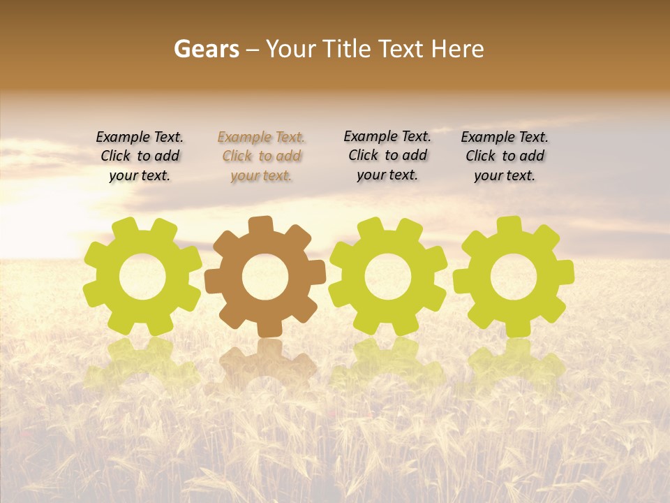 Barley Grain Grass PowerPoint Template