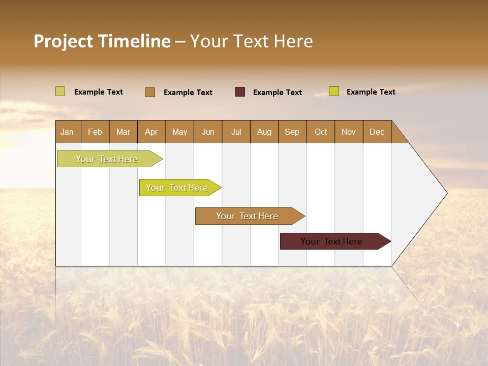 Barley Grain Grass PowerPoint Template
