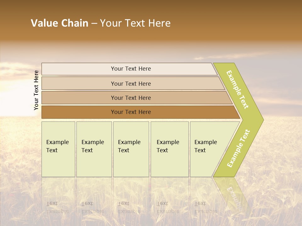 Barley Grain Grass PowerPoint Template