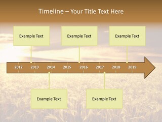Barley Grain Grass PowerPoint Template
