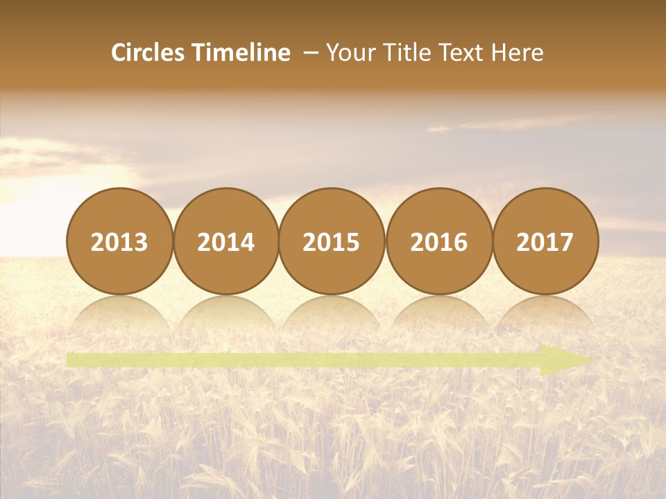 Barley Grain Grass PowerPoint Template