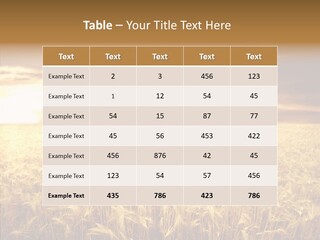 Barley Grain Grass PowerPoint Template