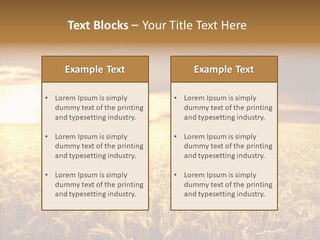 Barley Grain Grass PowerPoint Template