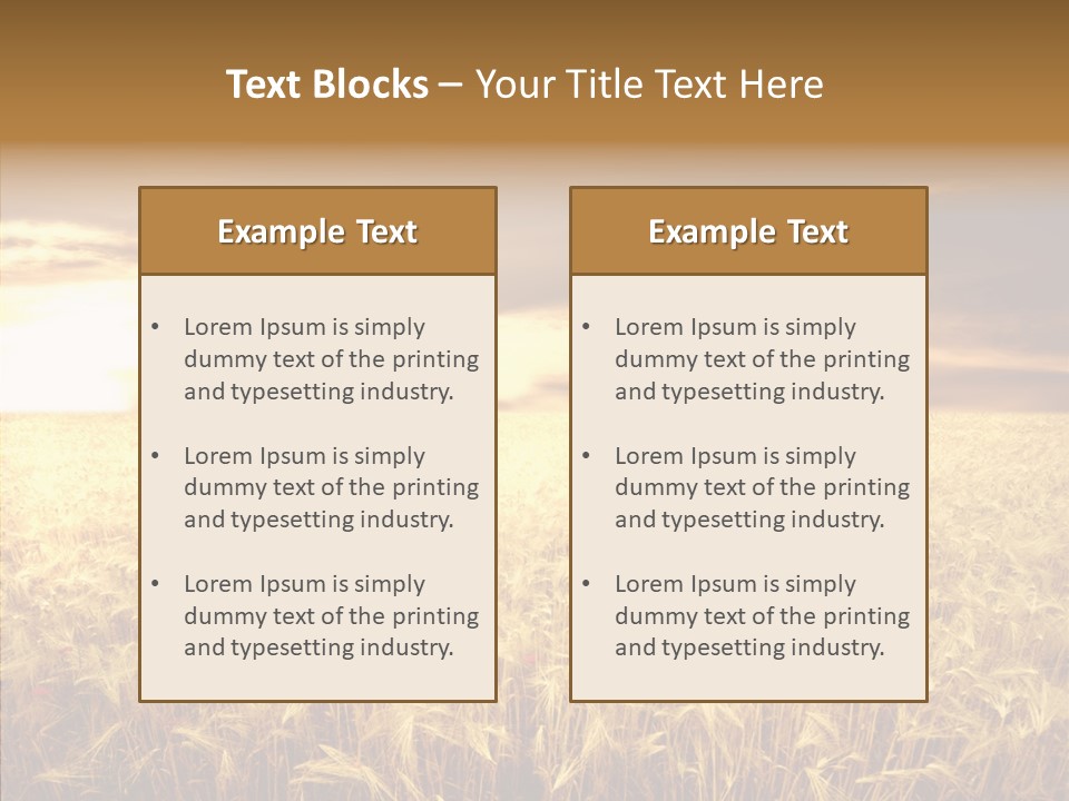 Barley Grain Grass PowerPoint Template