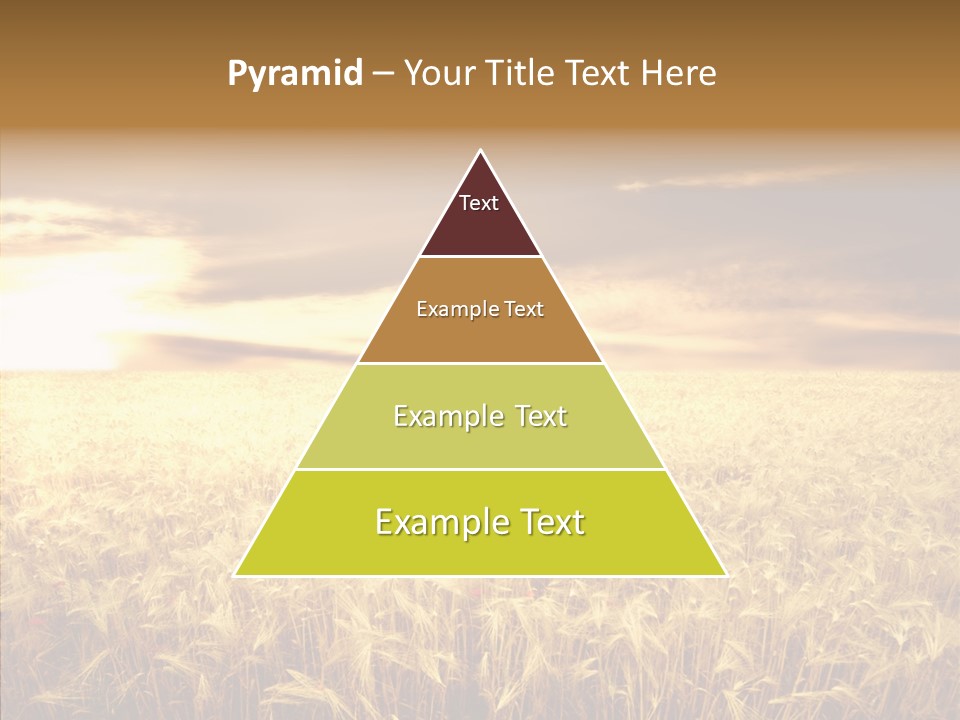 Barley Grain Grass PowerPoint Template