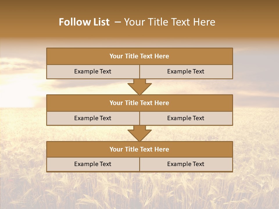 Barley Grain Grass PowerPoint Template