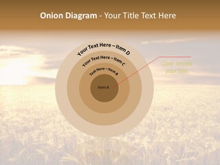 Barley Grain Grass PowerPoint Template
