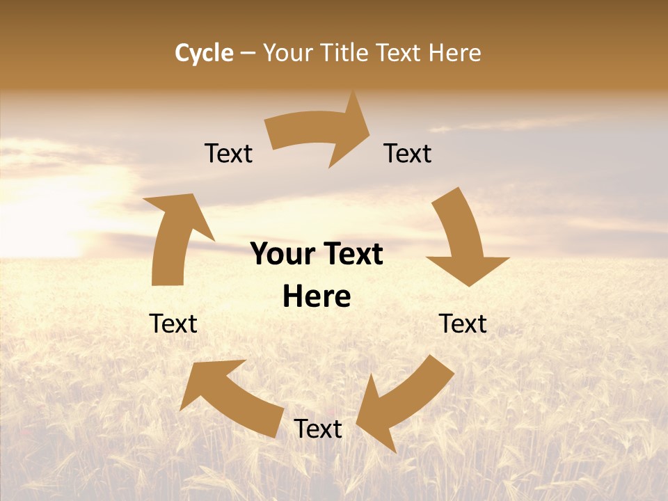 Barley Grain Grass PowerPoint Template