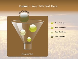 Barley Grain Grass PowerPoint Template