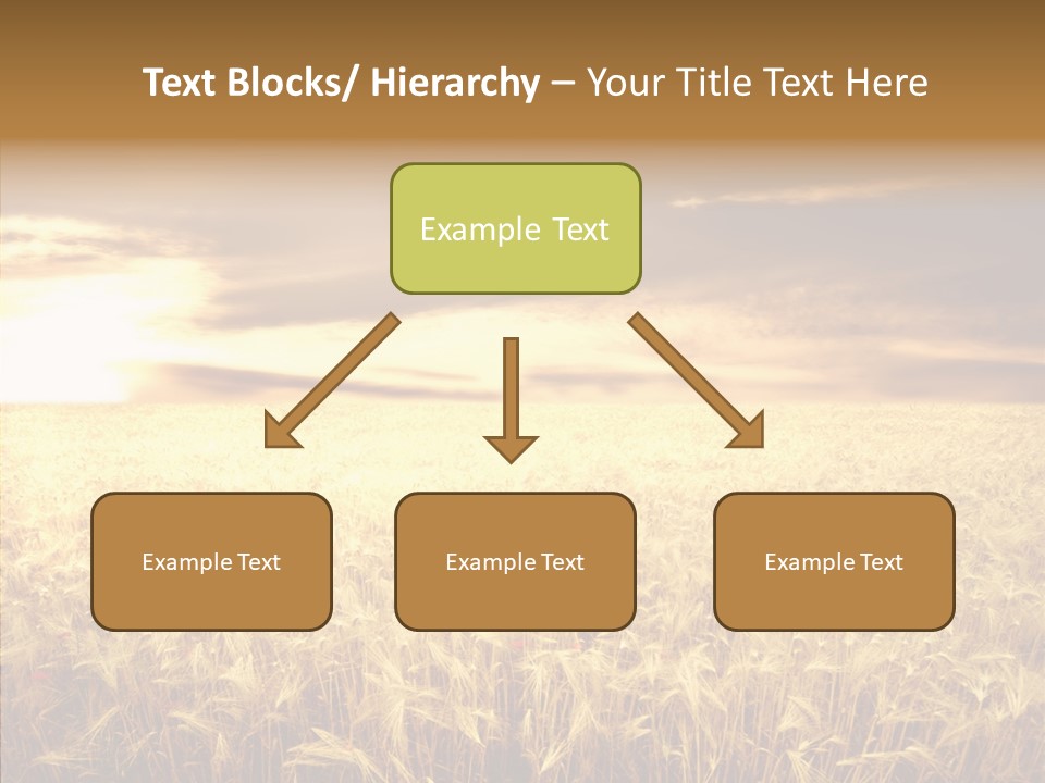 Barley Grain Grass PowerPoint Template