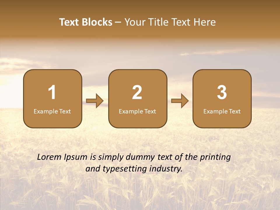 Barley Grain Grass PowerPoint Template