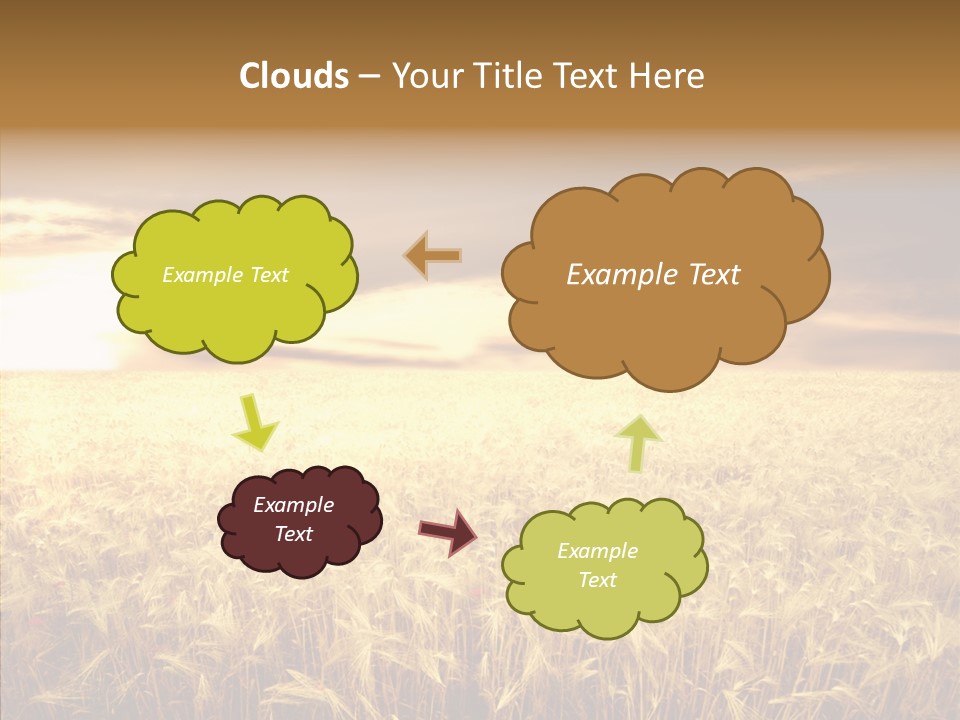 Barley Grain Grass PowerPoint Template