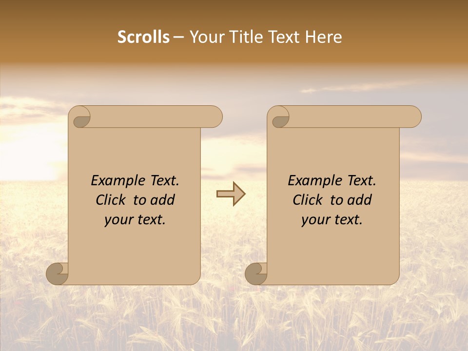 Barley Grain Grass PowerPoint Template