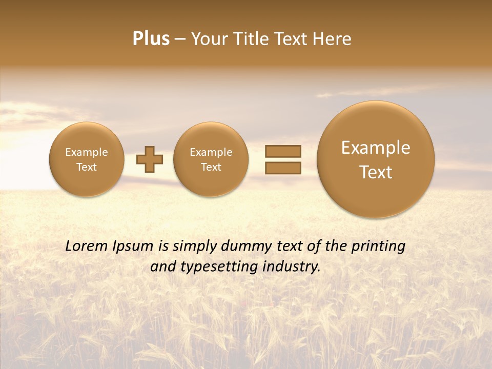 Barley Grain Grass PowerPoint Template