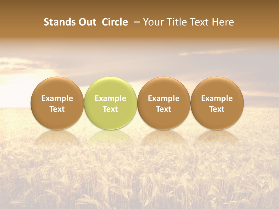 Barley Grain Grass PowerPoint Template