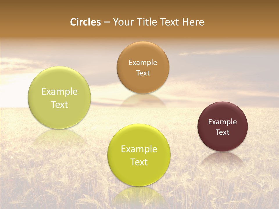 Barley Grain Grass PowerPoint Template
