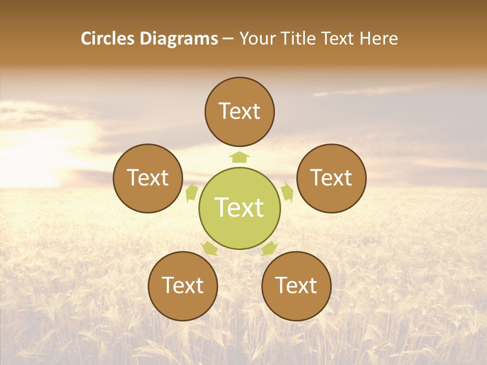 Barley Grain Grass PowerPoint Template