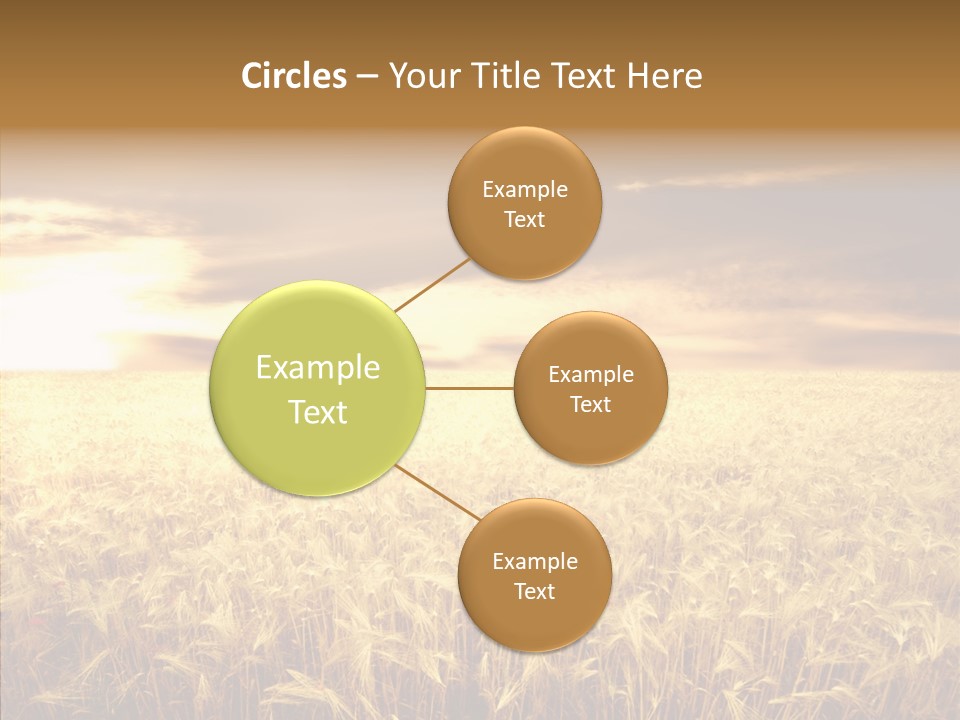 Barley Grain Grass PowerPoint Template