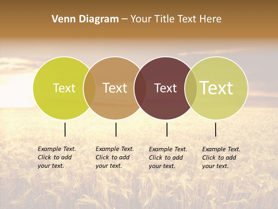 Barley Grain Grass PowerPoint Template