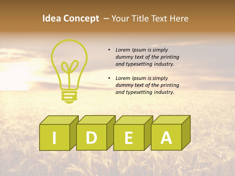 Barley Grain Grass PowerPoint Template