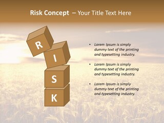 Barley Grain Grass PowerPoint Template