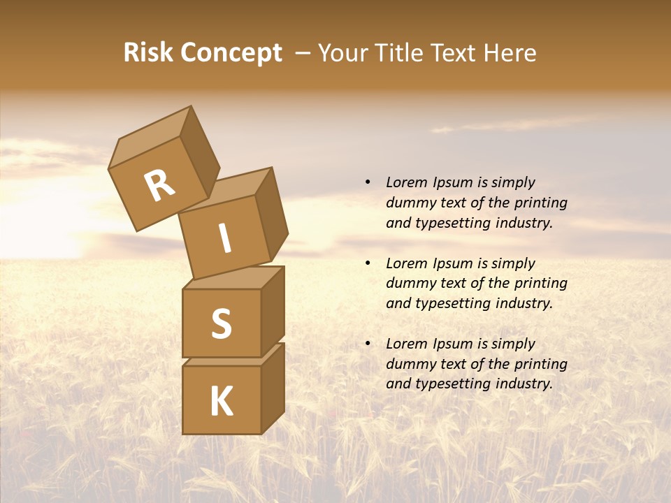 Barley Grain Grass PowerPoint Template