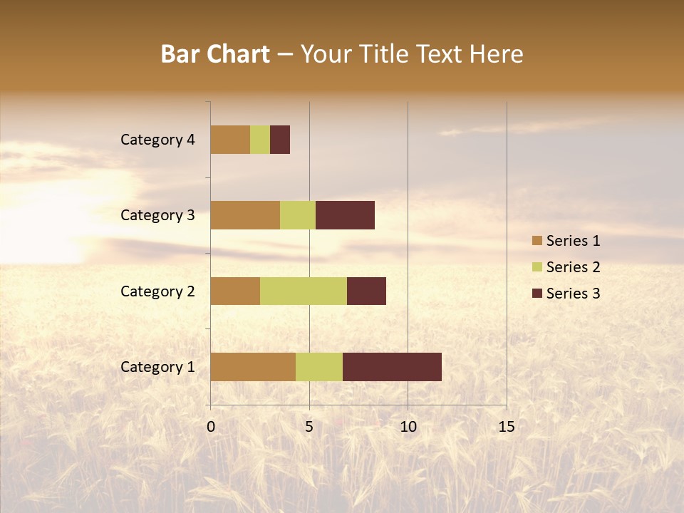 Barley Grain Grass PowerPoint Template