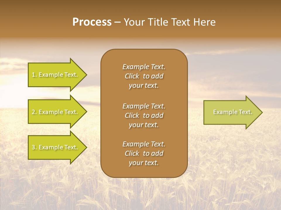 Barley Grain Grass PowerPoint Template