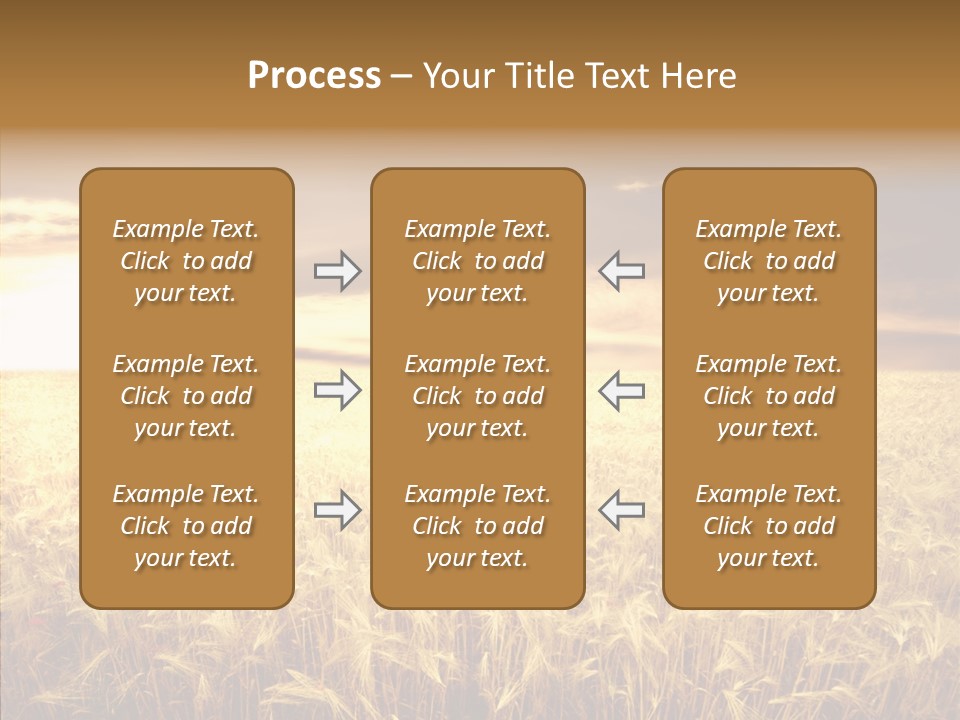 Barley Grain Grass PowerPoint Template