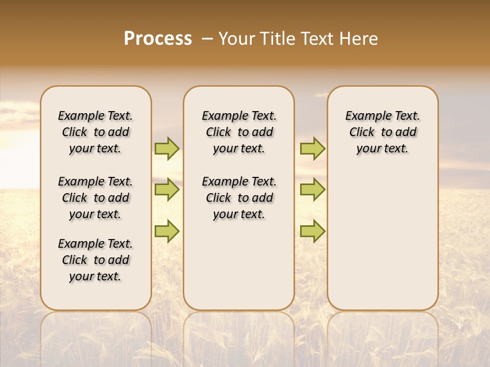 Barley Grain Grass PowerPoint Template