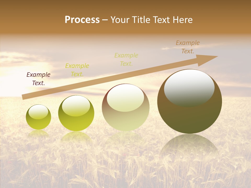 Barley Grain Grass PowerPoint Template