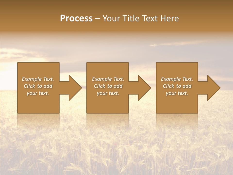 Barley Grain Grass PowerPoint Template