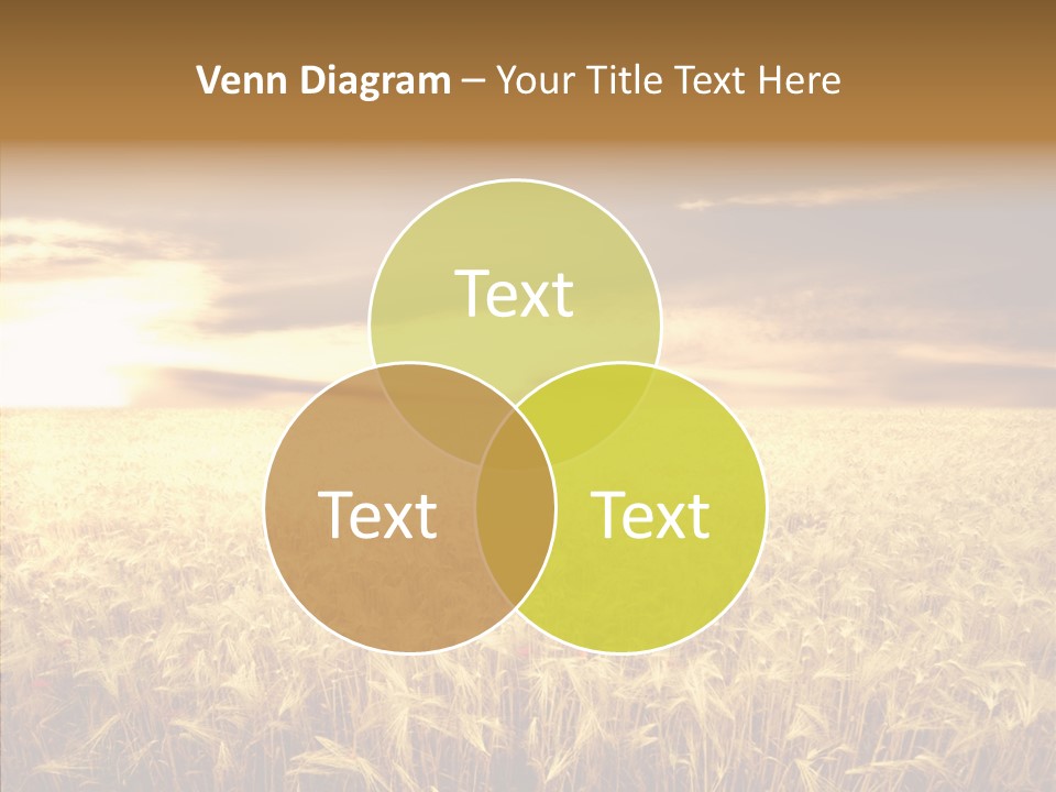 Barley Grain Grass PowerPoint Template