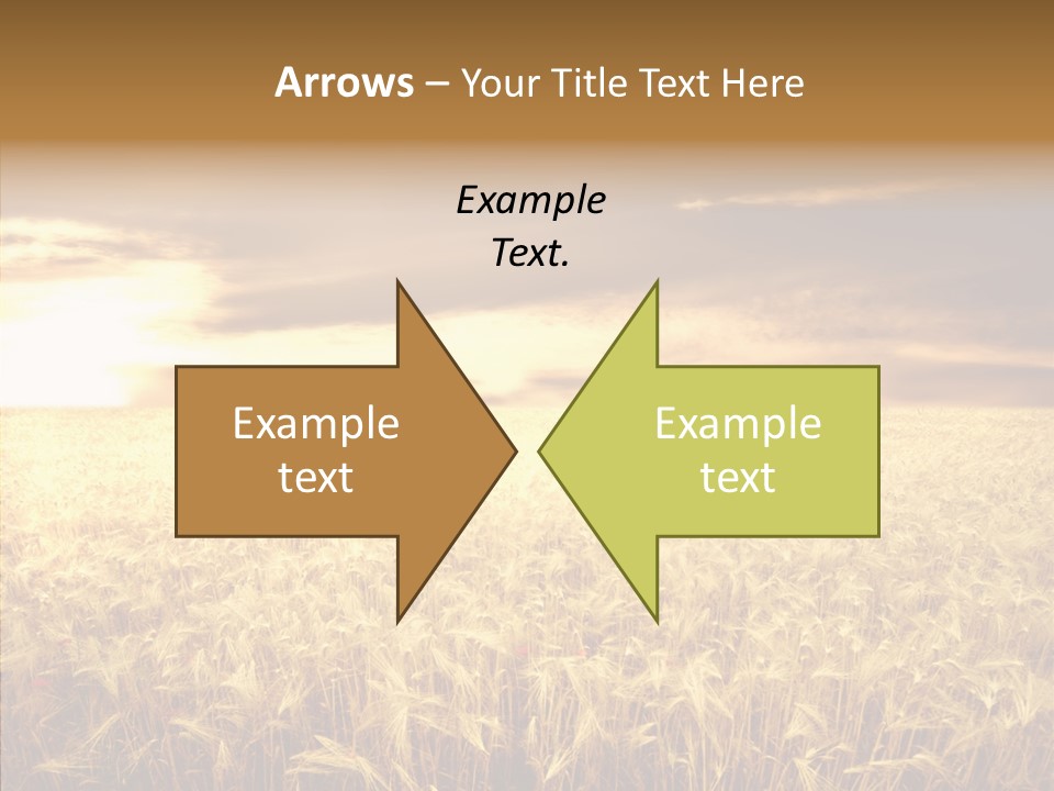 Barley Grain Grass PowerPoint Template