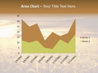Barley Grain Grass PowerPoint Template